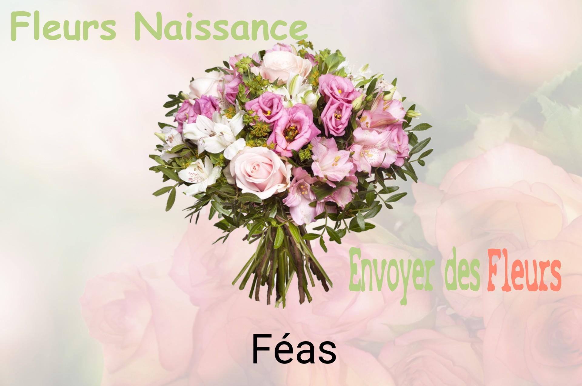 Bouquet de fleurs de naissance livré à Féas