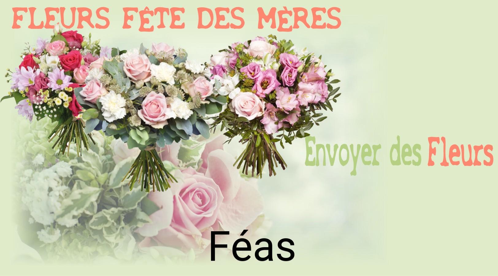 Bouquet de Fête des Mères livré à Féas